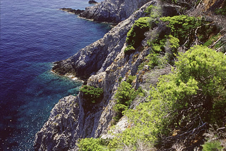 Isola di Gorgona Isola di Gorgona