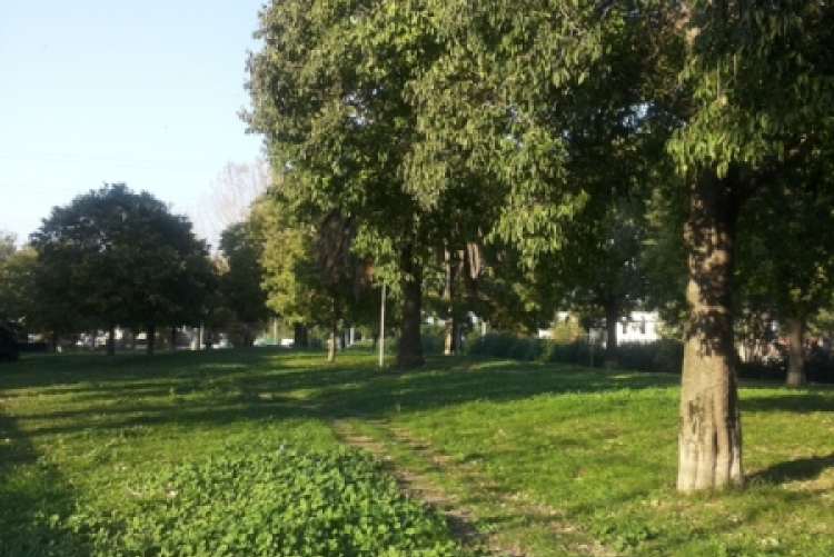 Parco via Firenze nord Parco via Firenze nord