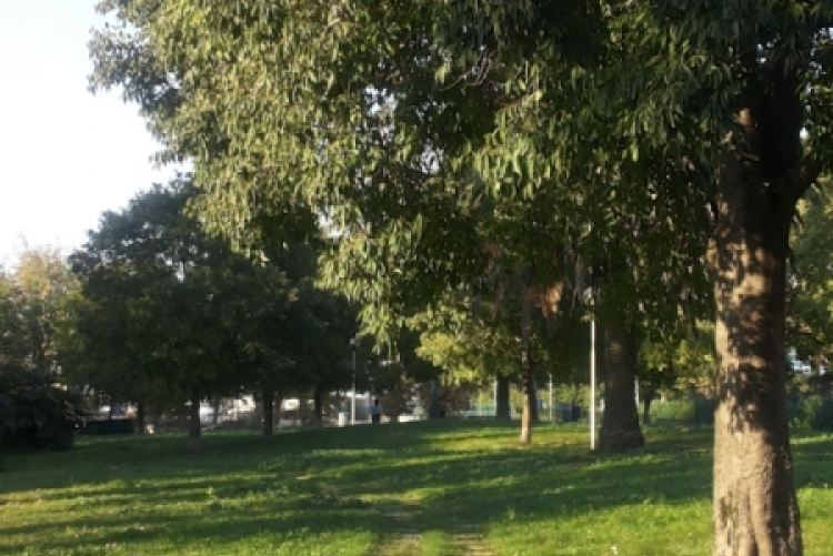 Parco via Firenze nord Parco via Firenze nord